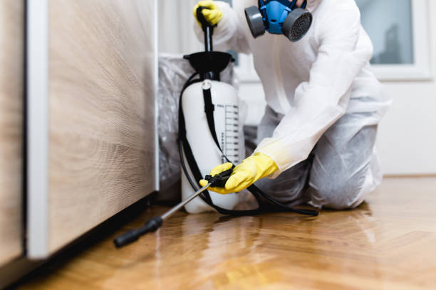 Best Residential Pest Control  in Manchaca, TX